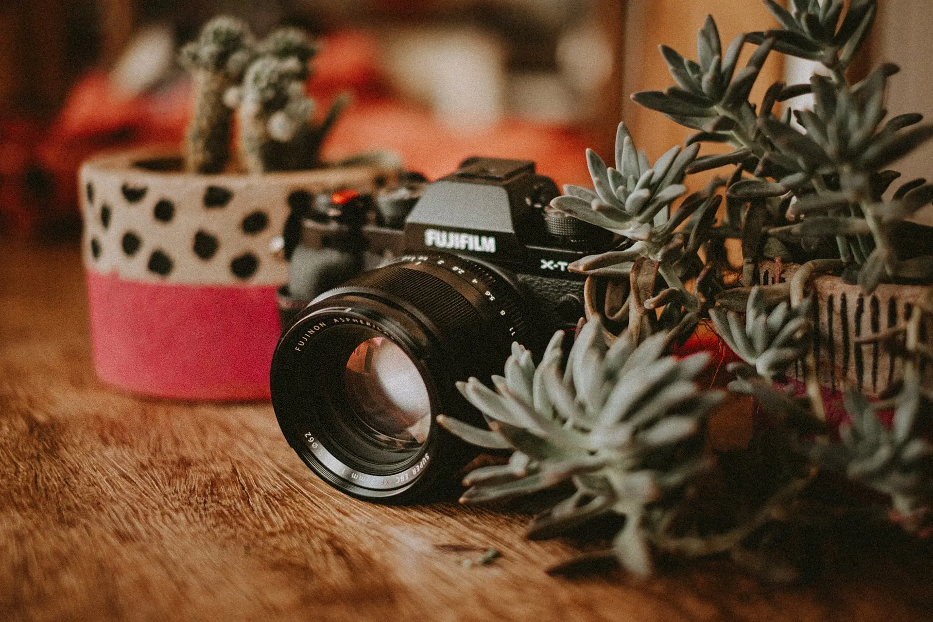 Câmeras Mirrorless: Conheça as vantagens em relação às DSLRs