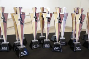 Estatuetas do Brasília Photo Show 2024